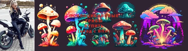 стаф Армянск