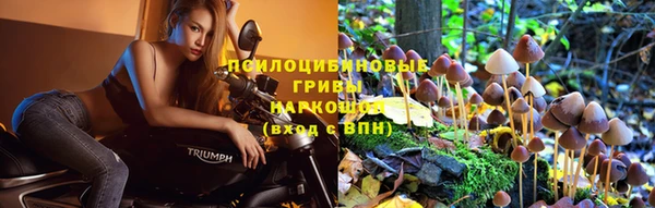 герыч Аркадак