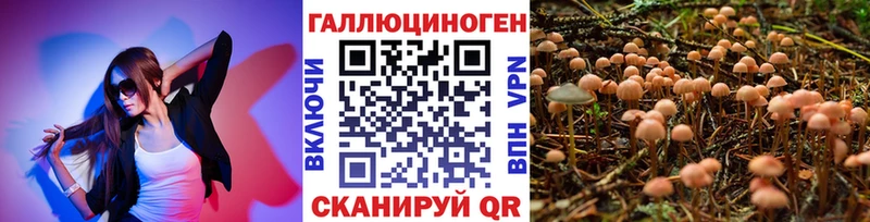 Галлюциногенные грибы Psilocybine cubensis  мега как войти  Армянск 